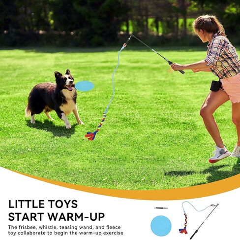 YITAHOME Dog Agility Equipments, Includes Flirt Pole Toy, 3 Flying Discs, 1 Agility Tunnel, 2 Jumps, 6 Weave Poles, Pause Box, Agility Course Set for Backyard, Indoor, Outdoor in Saudi Arabia