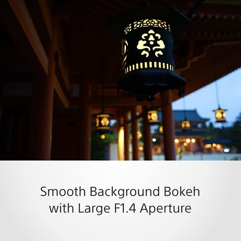 Sony SEL35F14Z E Mount - Full Frame Distagon T* 35mm F1.4 Zeiss Lens in Saudi Arabia