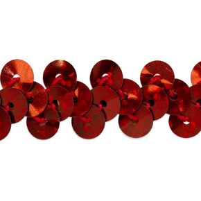 Trims by the Yard 1-Row Starlight Hologram Sequin Stretch Trim, 3/8-Inch Versatile Sequins for Crafts, Durable Sequin Trim for Costumes, Fashion, and Home Decor, 5-Yard Cut, Silver in Kuwait