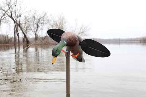 MOJO Outdoors Elite Series Spinning Wing Duck Decoy, Duck Hunting Gear and Accessories, Woody Wood Duck in Saudi Arabia