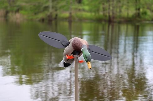 MOJO Outdoors Elite Series Spinning Wing Duck Decoy, Duck Hunting Gear and Accessories, Woody Wood Duck in Saudi Arabia