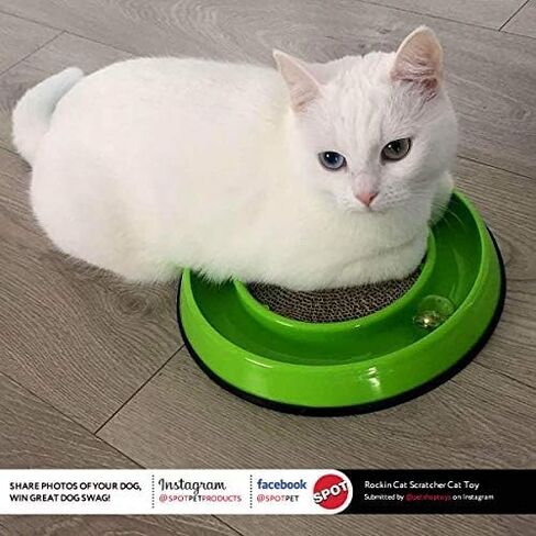 SPOT by Ethical Products Rockin' Scratcher Cat Toy | Interactive Cat Toy Features LED Light Up Ball and Wobble Action | Corrugated Scratching Pad to Groom Claws | Includes Catnip | 10" in Saudi Arabia