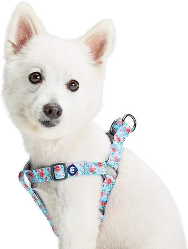 Blueberry Pet Essentials Step-in Spring Scent مستوحاة من حديقة الزهور للكلاب باللون الوردي الفاتح، محيط الصدر 16.5 بوصة - 21.5 بوصة، أحزمة صغيرة قابلة للتعديل للكلاب in Kuwait