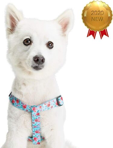 Blueberry Pet Essentials Step-in Spring Scent مستوحاة من حديقة الزهور للكلاب باللون الوردي الفاتح، محيط الصدر 16.5 بوصة - 21.5 بوصة، أحزمة صغيرة قابلة للتعديل للكلاب in Kuwait
