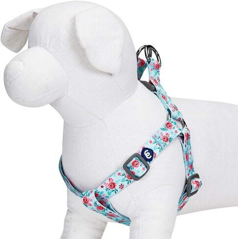 Blueberry Pet Essentials Step-in Spring Scent مستوحاة من حديقة الزهور للكلاب باللون الوردي الفاتح، محيط الصدر 16.5 بوصة - 21.5 بوصة، أحزمة صغيرة قابلة للتعديل للكلاب in Kuwait