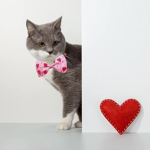 Valentine Bow Tie Cat Collar Set with Bell, Holiday Pink Heart and Heart Balloons Cat Collar for Boys and Girls Kitty Kittens in Saudi Arabia