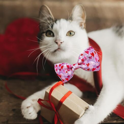 Valentine Bow Tie Cat Collar Set with Bell, Holiday Pink Heart and Heart Balloons Cat Collar for Boys and Girls Kitty Kittens in Saudi Arabia