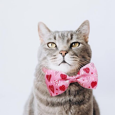 Valentine Bow Tie Cat Collar Set with Bell, Holiday Pink Heart and Heart Balloons Cat Collar for Boys and Girls Kitty Kittens in Saudi Arabia