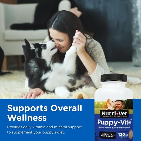 Nutri-Vet Senior-Vite Chewables for Dogs - Daily Vitamin and Mineral Support for Senior Dogs to Help Maintain Peak Condition - 120 Count in Saudi Arabia