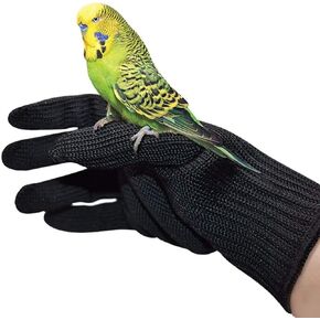Bird Training Anti-Bite Gloves, Small Animal Handling Gloves, Chewing Protective Gloves for Small Animal Pet Squirrels Hamster Parrotlets Cockatiels Finch Macaw (1 Pair) in Kuwait