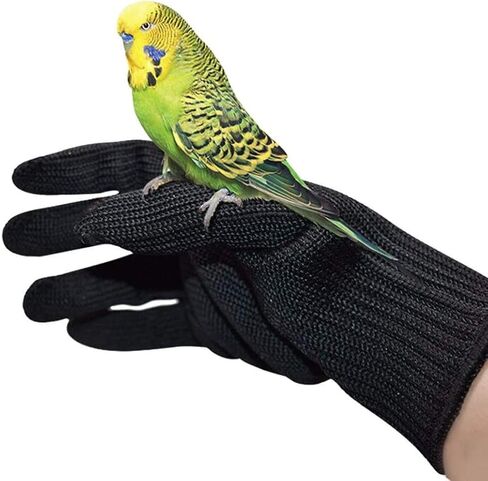 Bird Training Anti-Bite Gloves, Small Animal Handling Gloves, Chewing Protective Gloves for Small Animal Pet Squirrels Hamster Parrotlets Cockatiels Finch Macaw (1 Pair) in Kuwait