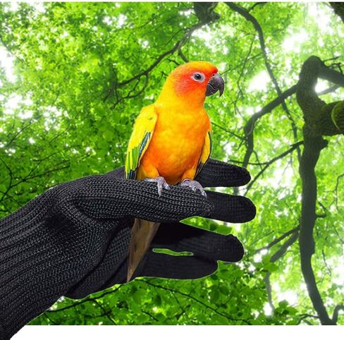 Bird Training Anti-Bite Gloves, Small Animal Handling Gloves, Chewing Protective Gloves for Small Animal Pet Squirrels Hamster Parrotlets Cockatiels Finch Macaw (1 Pair) in Kuwait