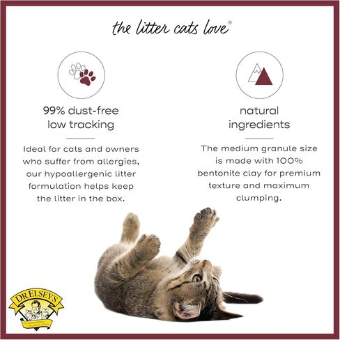 Precious Cat Classic Premium Clumping Cat Litter, 40 lb Bag in Kuwait