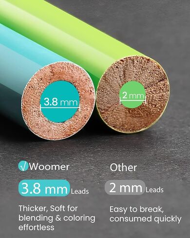 Woomer HB Pencils Set of 10 Pre-sharpened Break Resistant Pencil with Eraser, Sketching Pencil Set Professional Pencils for Artist, School, Office, Beginners & Artists in Kuwait