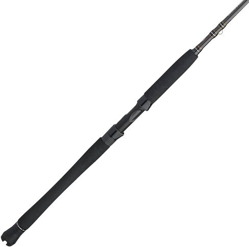 Penn Carnage III Inshore Spinning Fishing Rod in Saudi Arabia