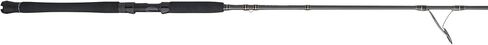 Penn Carnage III Inshore Spinning Fishing Rod in Saudi Arabia
