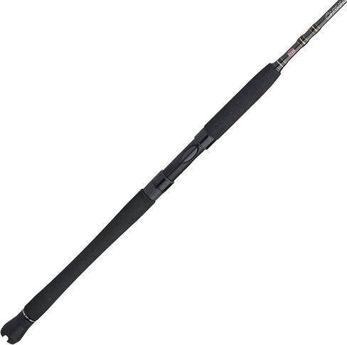 Penn Carnage III Inshore Spinning Fishing Rod in Saudi Arabia