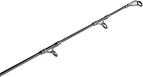 Penn Carnage III Inshore Spinning Fishing Rod in Saudi Arabia