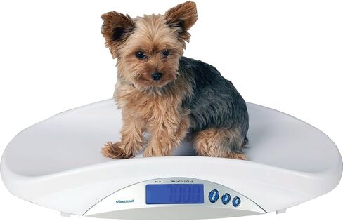 Brecknell, MS-15, Medical/Veterinary Scale, 44 lb x 0.01 lb in Saudi Arabia