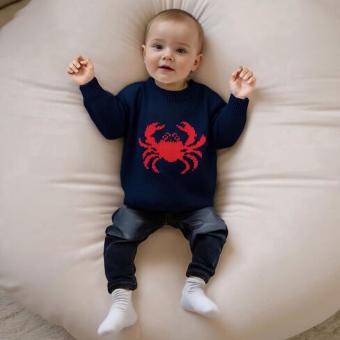 Baby Girl Boy Knit Sweater Chunky Knitted Crew Neck Pullover Sweatshirt Knitwear Toddler Fall Winter Clothes in Saudi Arabia