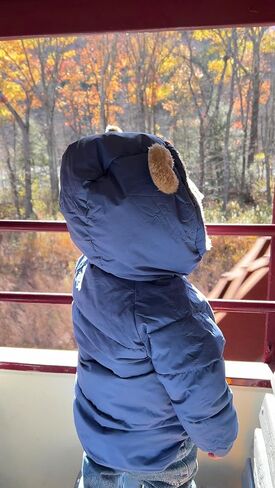 TUONROAD Baby Girls Coats for 6 Months-5 Years Toddlers Boy Winter Jacket Warm Bear Hooded Outdoor Coats Size 5 in Kuwait