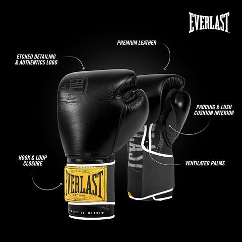 قفاز تدريب Everlast Classic من Everlast in Kuwait