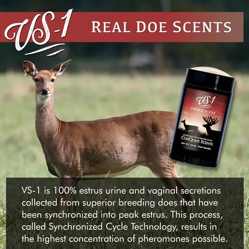 Conquest Scents Vs-1 Scent Stick in Saudi Arabia