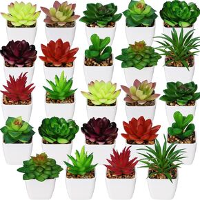 24 Pack Mini Artificial Succulent Plants in Pots Small Potted Faux Succulent Plants Mini Fake Plants in White Pots for Indoor Home Office Desk Window Bathroom Bedroom Decoration (Fresh Style)