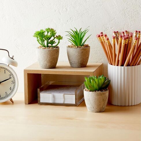 Juvale 6 Pack Artificial Succulent Plants with Pots for Office Desk, Faux Indoor Mini Cactus Decor for Home, Bedroom (2.7 to 4 in) in Saudi Arabia