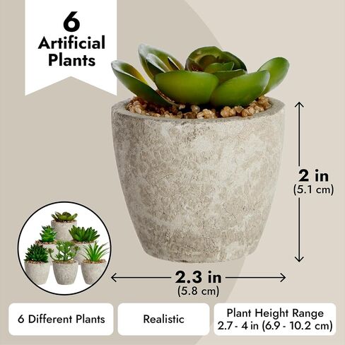 Juvale 6 Pack Artificial Succulent Plants with Pots for Office Desk, Faux Indoor Mini Cactus Decor for Home, Bedroom (2.7 to 4 in) in Saudi Arabia