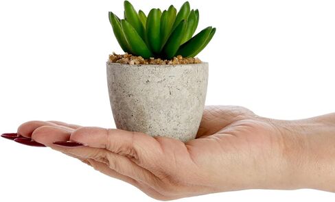 Juvale 6 Pack Artificial Succulent Plants with Pots for Office Desk, Faux Indoor Mini Cactus Decor for Home, Bedroom (2.7 to 4 in) in Saudi Arabia