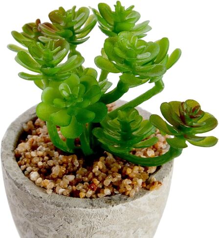 Juvale 6 Pack Artificial Succulent Plants with Pots for Office Desk, Faux Indoor Mini Cactus Decor for Home, Bedroom (2.7 to 4 in) in Saudi Arabia