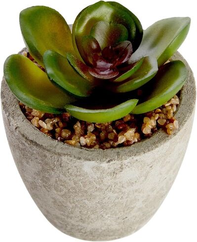 Juvale 6 Pack Artificial Succulent Plants with Pots for Office Desk, Faux Indoor Mini Cactus Decor for Home, Bedroom (2.7 to 4 in) in Saudi Arabia
