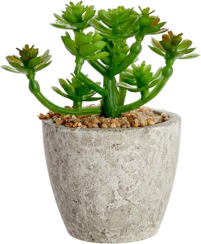 Juvale 6 Pack Artificial Succulent Plants with Pots for Office Desk, Faux Indoor Mini Cactus Decor for Home, Bedroom (2.7 to 4 in) in Saudi Arabia
