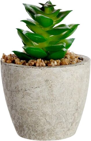 Juvale 6 Pack Artificial Succulent Plants with Pots for Office Desk, Faux Indoor Mini Cactus Decor for Home, Bedroom (2.7 to 4 in) in Saudi Arabia