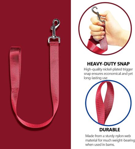 Harrison Howard 4PCS 22" Easily Packed Sturdy Nylon Bucket Straps for Hay Nets and Water Feeder Buckets-Azure Blue in Kuwait
