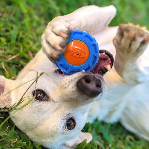 Nerf Dog 4in TPR EXO Squeak Ball - Blue/Orange, Large Breeds in Kuwait