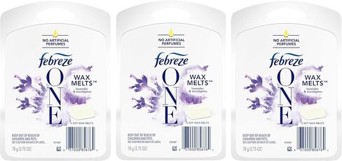 ONE Wax Melts Air Freshener, Peppermint & Rosemary, 2.75 oz in Saudi Arabia