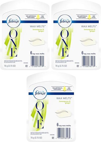 ONE Wax Melts Air Freshener, Peppermint & Rosemary, 2.75 oz in Saudi Arabia