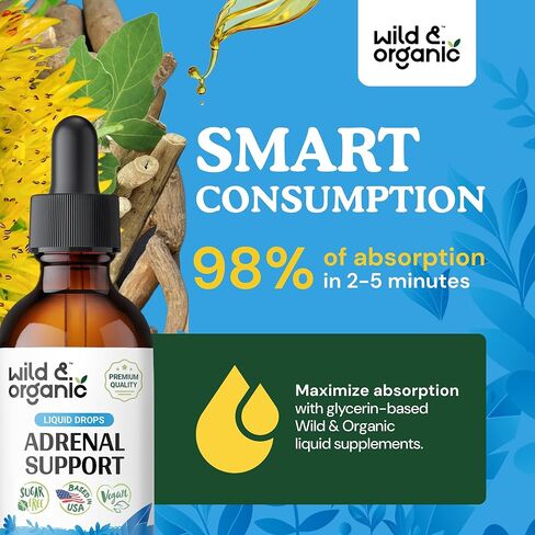 الدعم اليومي لصحة الغدة الكظرية - مكمل طبيعي لقوة الغدة الكظرية للنساء والرجال - مركب قطرات سائل الغدة الكظرية مع جذور الروديولا العضوية وجذور أشواغاندا - صبغة نباتية - 4 أونصة سائلة. أوز. in Kuwait