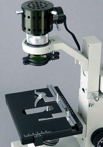 AmScope IN200TB Long Working Distance Inverted Trinocular Microscope, 40x-800x, WF10x and WF20x Eyepieces, Brightfield, Halogen Illumination, 1.25 NA Condenser, Mechanical Stage, 115V in Saudi Arabia