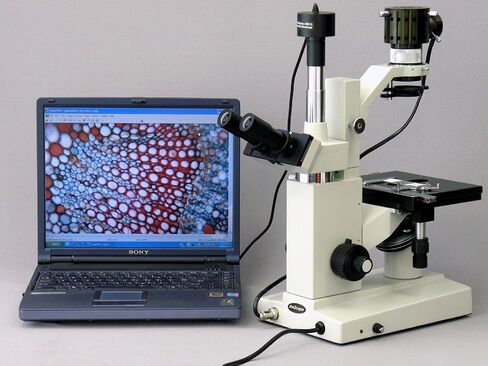 AmScope IN200TB Long Working Distance Inverted Trinocular Microscope, 40x-800x, WF10x and WF20x Eyepieces, Brightfield, Halogen Illumination, 1.25 NA Condenser, Mechanical Stage, 115V in Saudi Arabia