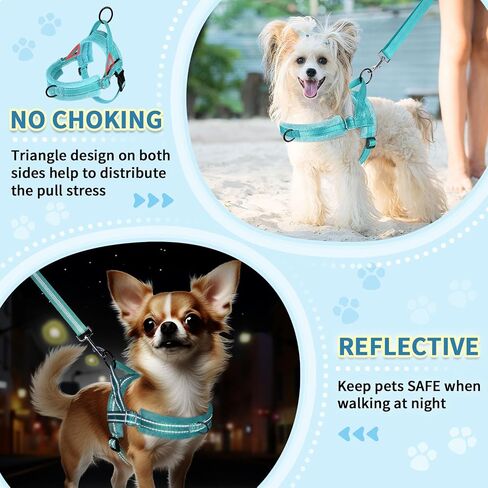 SlowTon No Pull Small Dog Harness and Leash Set with Front Clip in Saudi Arabia