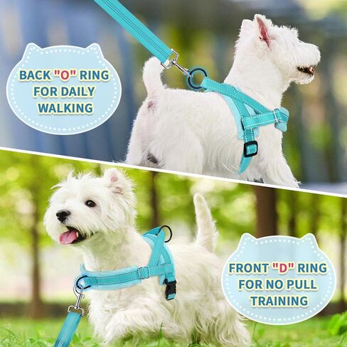SlowTon No Pull Small Dog Harness and Leash Set with Front Clip in Saudi Arabia