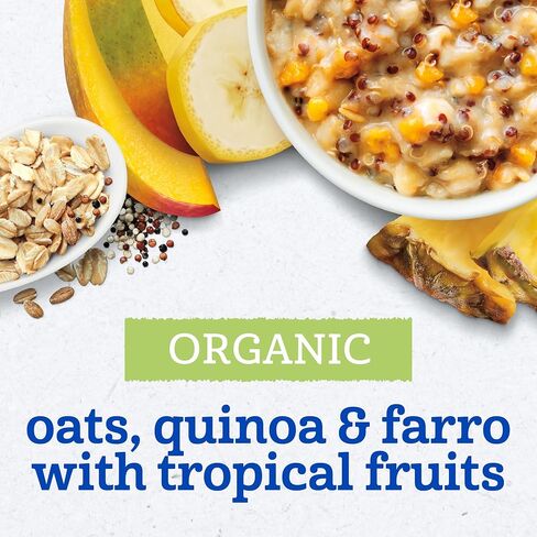 Gerber Organic Grain & Grow Morning Bowl ، الشوفان ، الكينوا الأحمر والفارو مع الفواكه الاستوائية ، 4.5 أونصة (حزمة 8) in Saudi Arabia