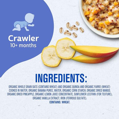 Gerber Organic Grain & Grow Morning Bowl ، الشوفان ، الكينوا الأحمر والفارو مع الفواكه الاستوائية ، 4.5 أونصة (حزمة 8) in Saudi Arabia