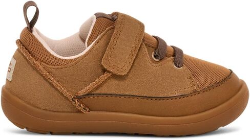 Ugg للجنسين-بابي تي المغامر حذاء رياضة in Saudi Arabia