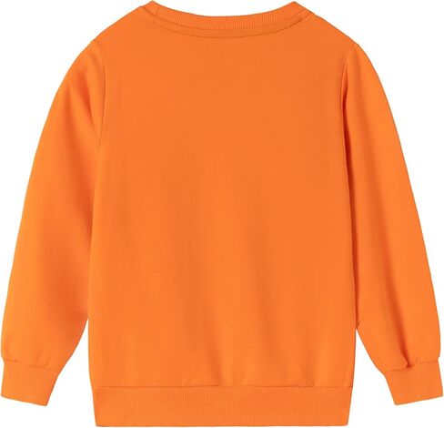 Boys Halloween Sweatshirt Toddler Kids Long Sleeve Shirt Skeleton Glow in the Dark Pullover Sweater Holiday Clothes in Saudi Arabia