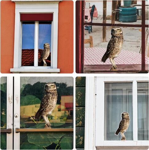 Large Realistic Owl Window Treatments, Removable Vinyl Treatments, Living Room, Bedroom, Bathroom Window Treatments in Saudi Arabia
