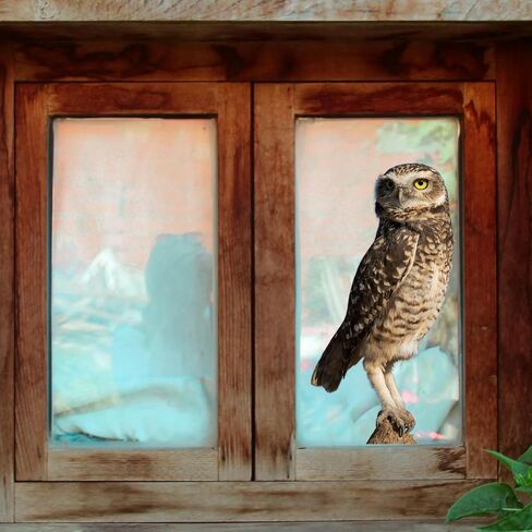 Large Realistic Owl Window Treatments, Removable Vinyl Treatments, Living Room, Bedroom, Bathroom Window Treatments in Saudi Arabia